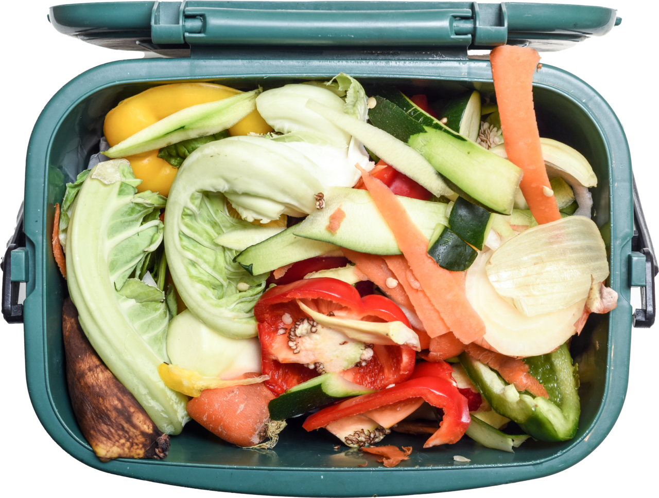 Six Ways We Create a Green Future Plastipak Packaging, Inc.