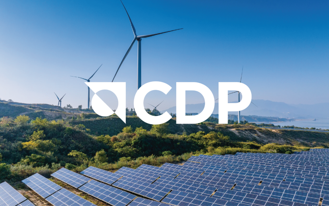 Why CDP Matters and What It Means for Plastipak