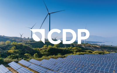 Why CDP Matters and What It Means for Plastipak